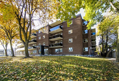 a large grassy area with trees and a building in the background